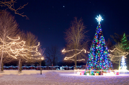 luces para árbol de navidad